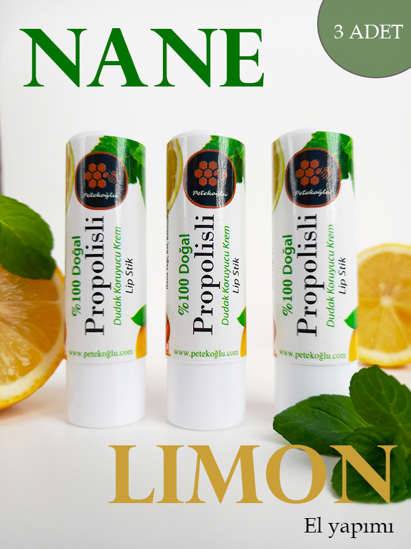 3 Adet Dudak Kremi Propolis Bal Nane Limon Aynısefa Shea Hindistan Cevizi Lipstick Balm
