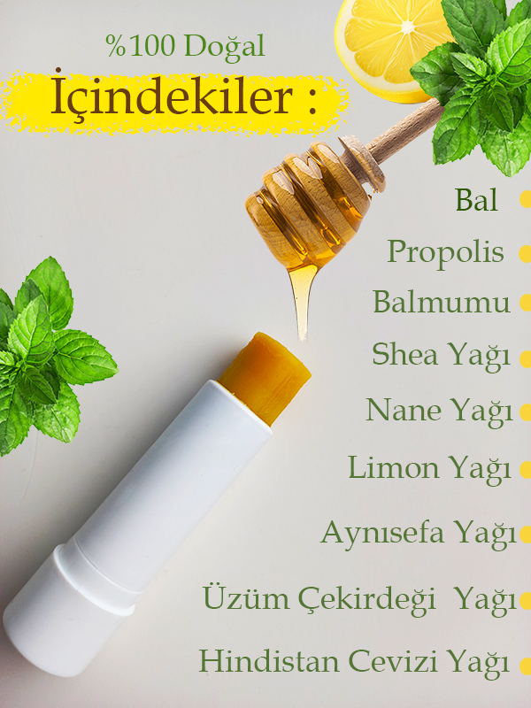 2 Adet Dudak Kremi Propolis Bal Nane Limon Aynısefa Shea Hindistan Cevizi  Lipstick Balm