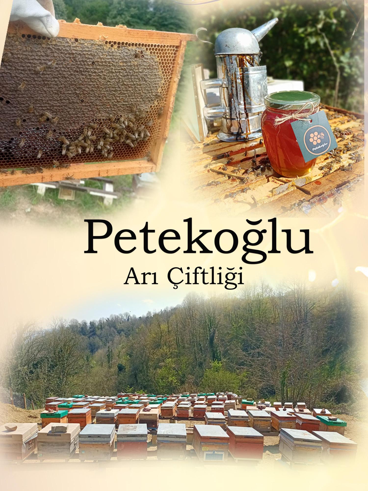 300 Gram Saf Balmumu Doğal Katkısız Kesme  Bal Mumu